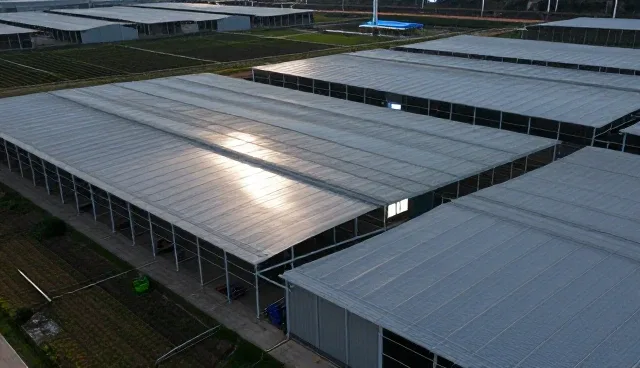 短视频拍摄:两种常见做法的性能比较及适用条件